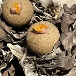 レスピラシオン - 