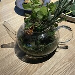 レスピラシオン - 