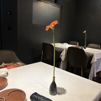 PRIMO - 
