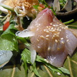 宮の森れんげ堂 - 真鯛のカルパッチョ