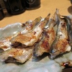 鉄板居酒屋OHANA - 