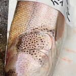 つるよし料理店 - イトウ！ごっつい顎！養殖の魚とは顔つきが違う。