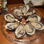 Oyster Lab - 