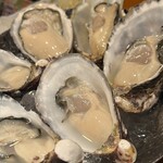 Oyster Lab - 