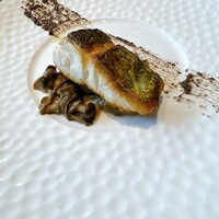 IL PINOLO 銀座 - 