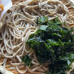 蕎麦 さだはる - 