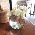 ハレクラニ 沖縄 - 