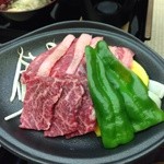 薬師温泉　庄永閣 - 肉料理