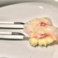 セルサルサーレ - 