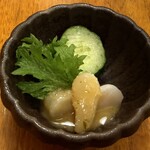 平山旅館 - アコヤガイ