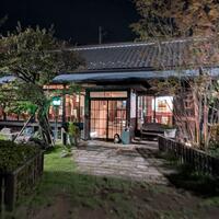 向日葵 - 