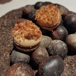 ラ・ヴァガボンド - 