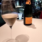 MODERNISM - 乾杯シャンパン