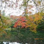 Cafe St. Maire KUMOBA