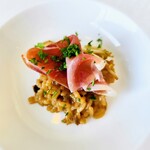 ベラ・ルーサ - 