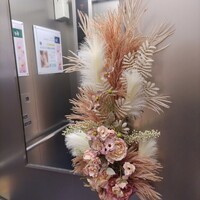 創作料理 FANCL令和本膳 - 