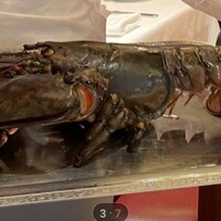 ウルフギャング・ステーキハウス 六本木 - 