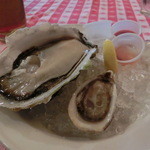 グランド・セントラル・オイスターバー&レストラン - 岩牡蠣春香Ｌサイズ（島根）とクッシ・オイスター（カナダ）