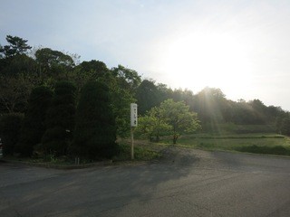 Teshima Ryokan - 外は自然に囲まれています。