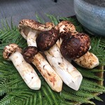 日本料理 TOBIUME - 