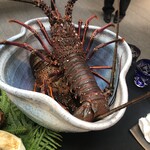 日本料理 TOBIUME - 