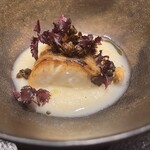 イル アオヤマ - 