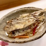穴子料理と地酒 浅草 川井 - 