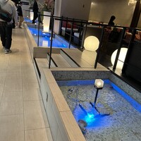 リュクス ダイニング ハプナ - 