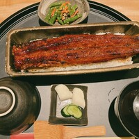 うなぎ四代目菊川 ミッドランドスクエア 名古屋本店 - 