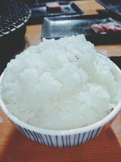 ホルモン 貴（タカ） - 坂元（焼肉）の写真