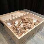 ア・ニュ Shohei Shimono - 