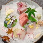 龍のかくれんぼ - 造り盛り合わせ①