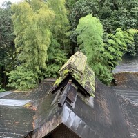 黒茶屋 - 