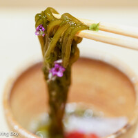 寿司つばさ - 海素麺  鱚