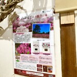 うさぎ - 高嶺ルビーは貴重な品種