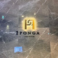 PONGA PREMIUM - 