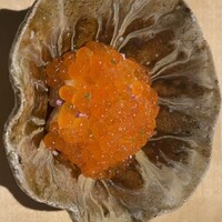 TTOAHISU - 