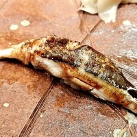 秀徳本店恵 - 