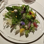 レフェルヴェソンス - 