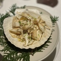 レフェルヴェソンス - 