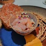 VANKA - 北海道釧路産毛蟹のコンソメジュレとカリフラワームース（絶品①）