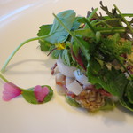 レストラン サンパウ - 春のサラダ2014
