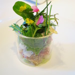 レストラン サンパウ - 春のサラダ2014