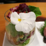 うなぎ屋酒坊・画荘 越後屋 - 26年5月　クラゲサラダ