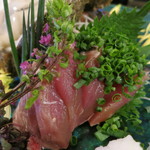 うなぎ屋酒坊・画荘 越後屋 - 26年5月　鰹タタキ　アップ