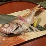 海鮮料理 人情庵 瑠李 - 赤ムツ塩焼き