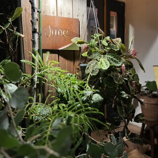 イタリア食堂ジュン_0