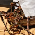 温石 - 伊勢海老がガンを飛ばします\(//∇//)\