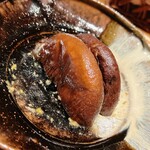 温石 - グアニル酸の塊