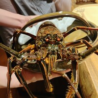 温石 - 巨大な伊勢海老。目が充血しています。目薬が必要かも\(//∇//)\